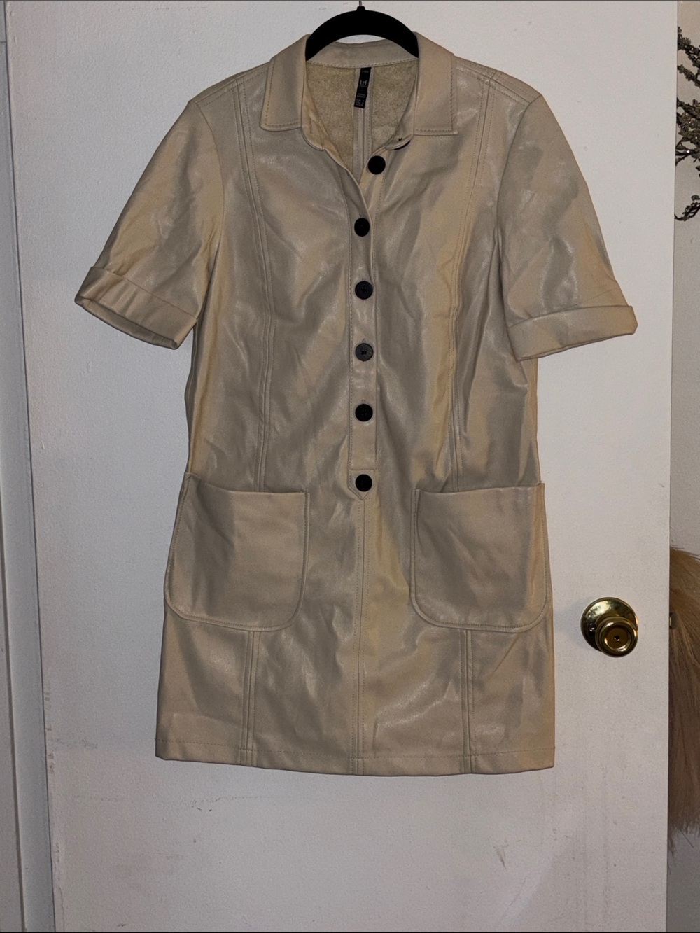 Zara Cream Short-Sleeve Faux Leather Button-Front Dress